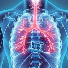 best pulmonology hospital in hyderabad